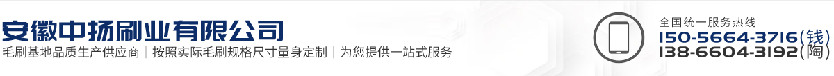 安徽中揚刷業(yè)有限公司